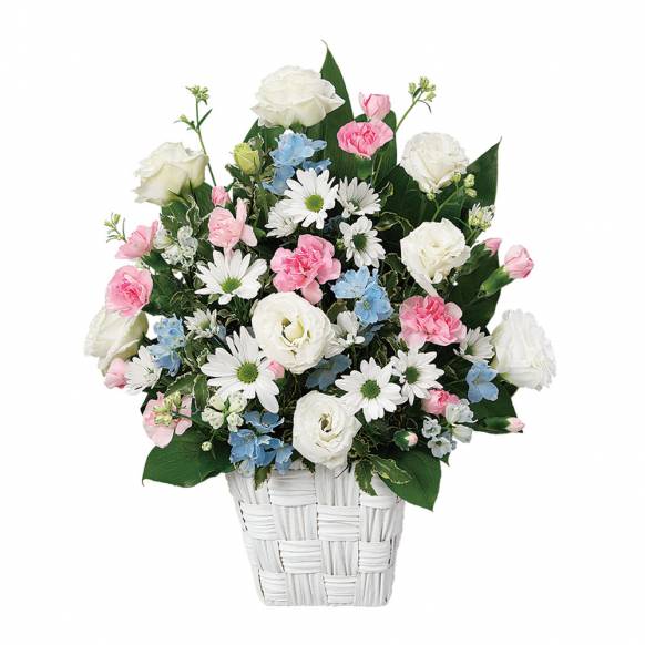 最高のコレクション 花 くらぶ