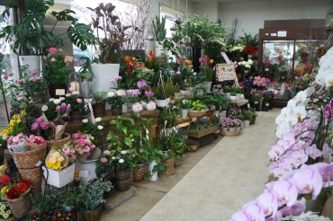 「フラワーステーション花くらぶ」　（熊本県熊本市西区）の花屋店舗写真2